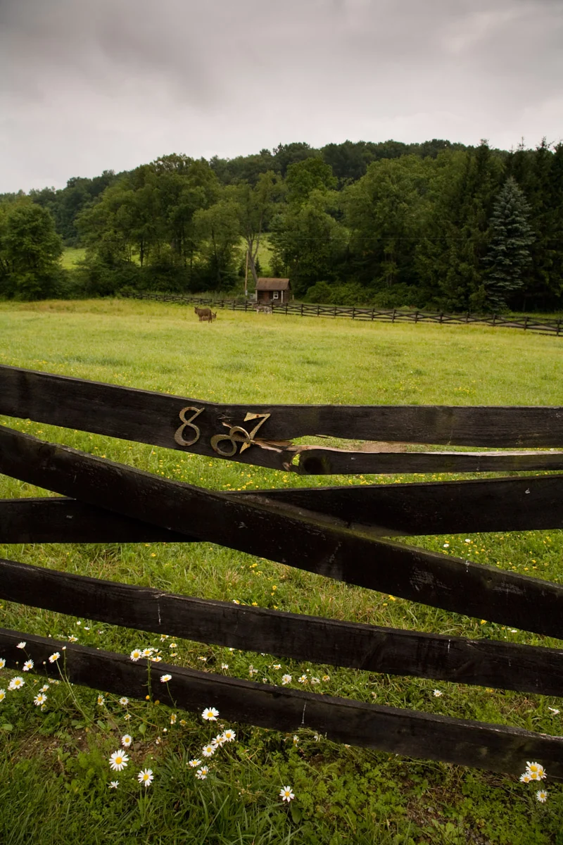 A weathered wooden fence crossing a green field