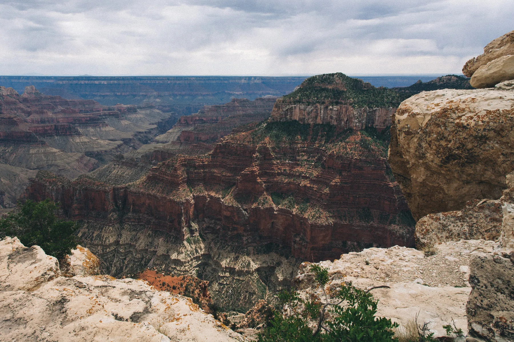 Layered canyon walls beyond pale limestone boulders