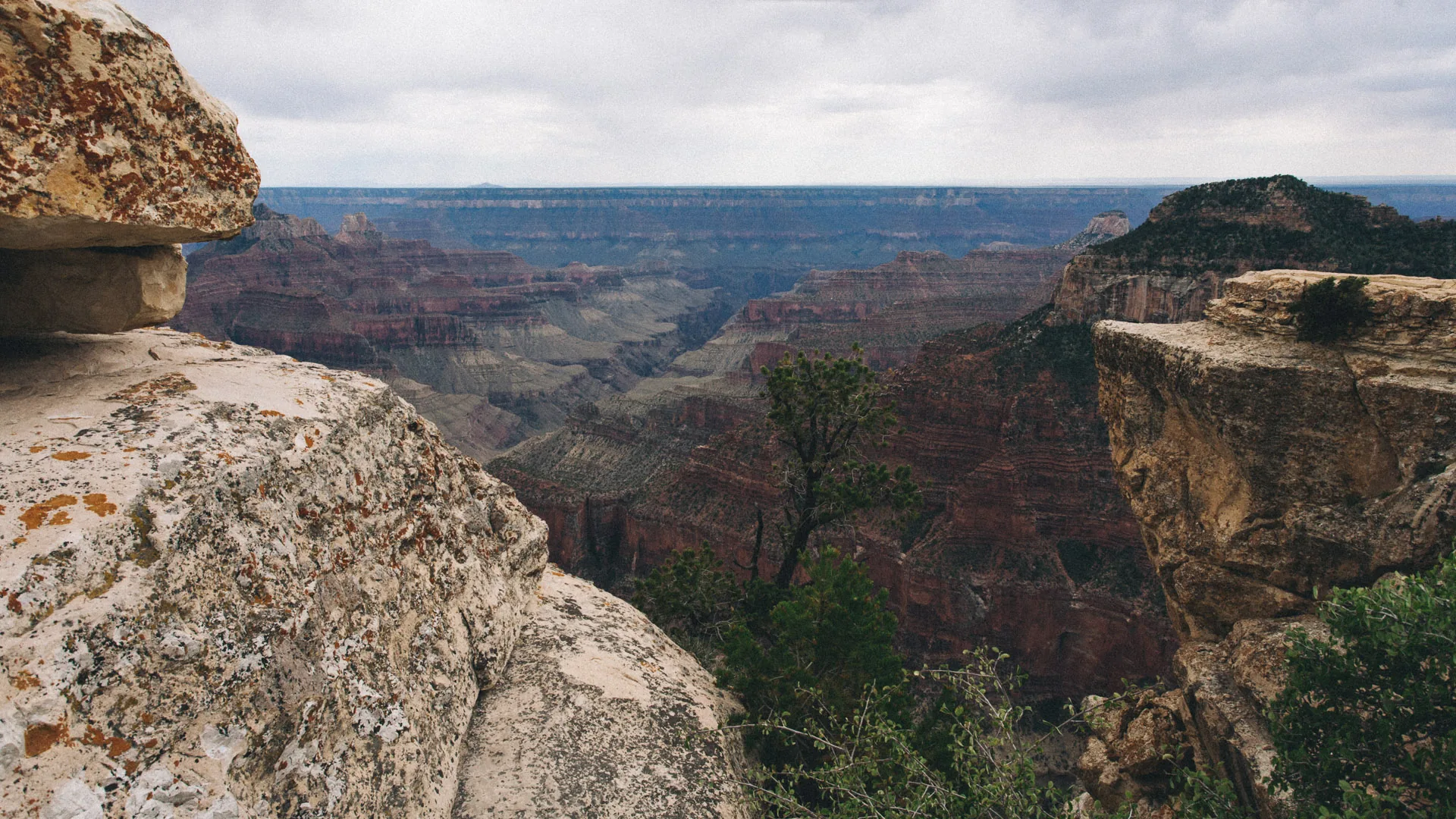 The canyon framed by lichen-covered rocks