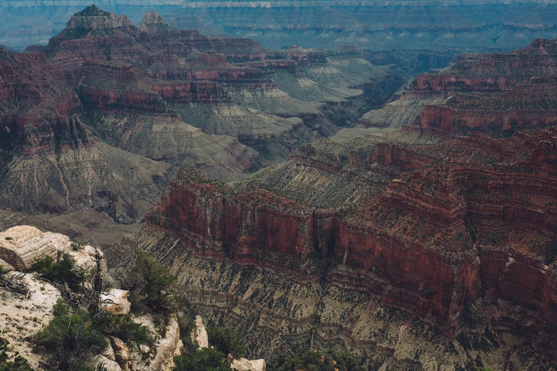 The Grand Canyon from the North Rim under grey light