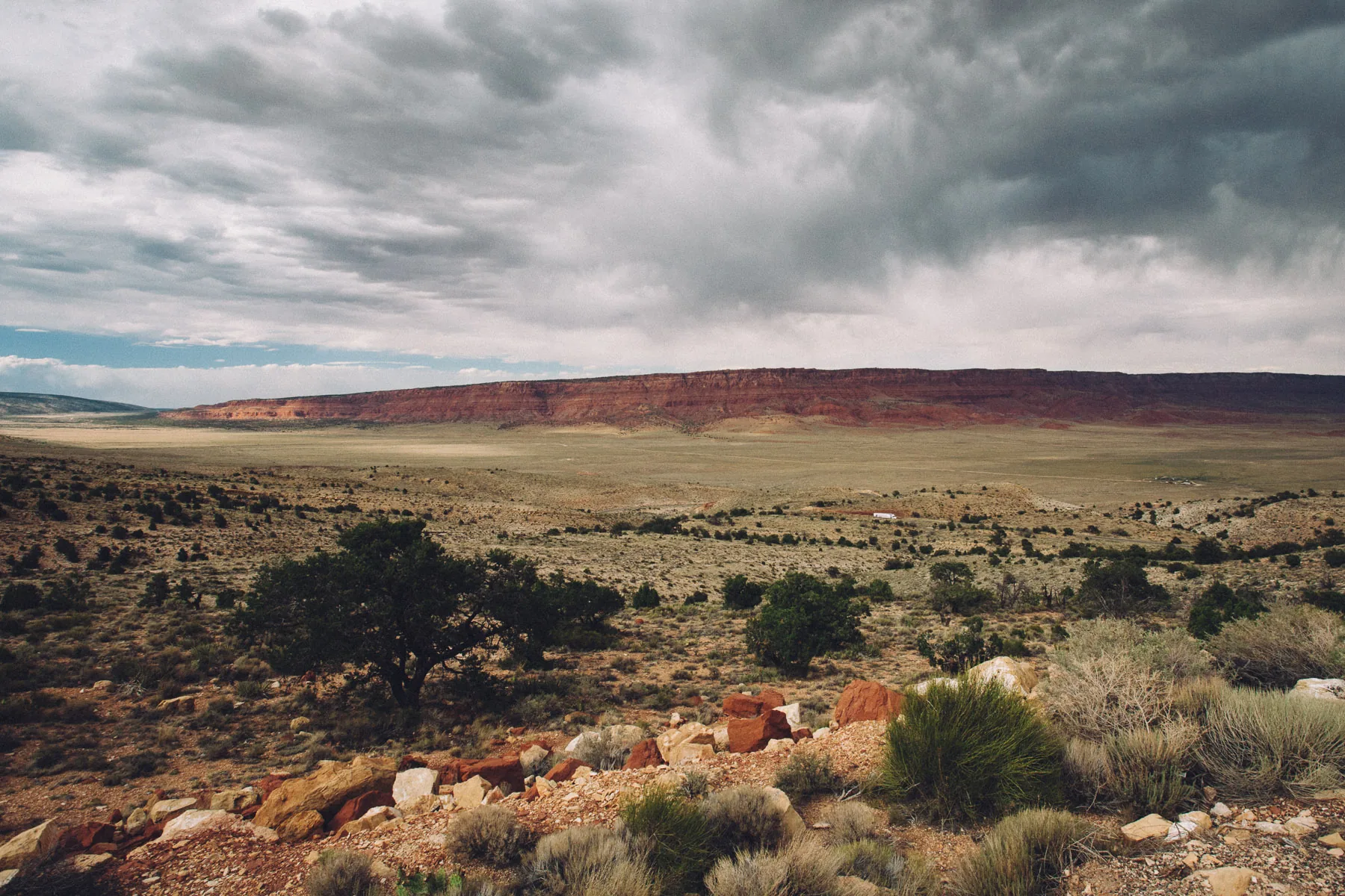 Desert scrub and the long line of the Vermilion Cliffs