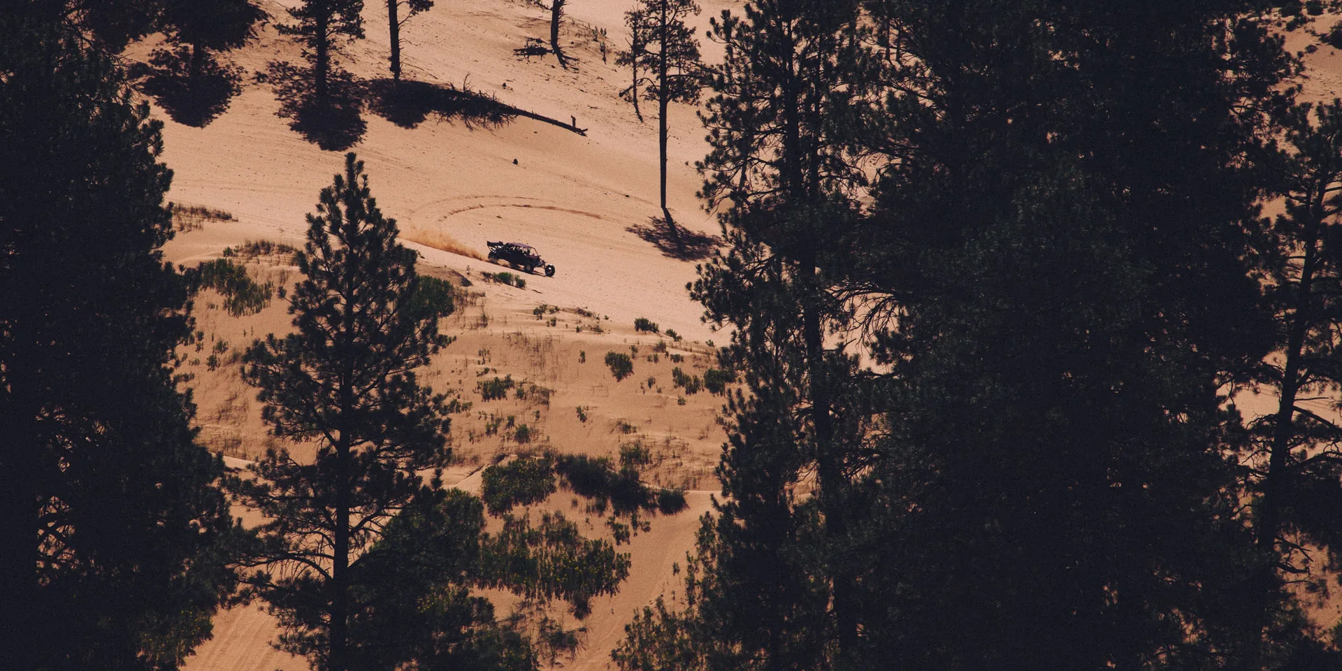 ATV tracks on the dunes seen through dark pines