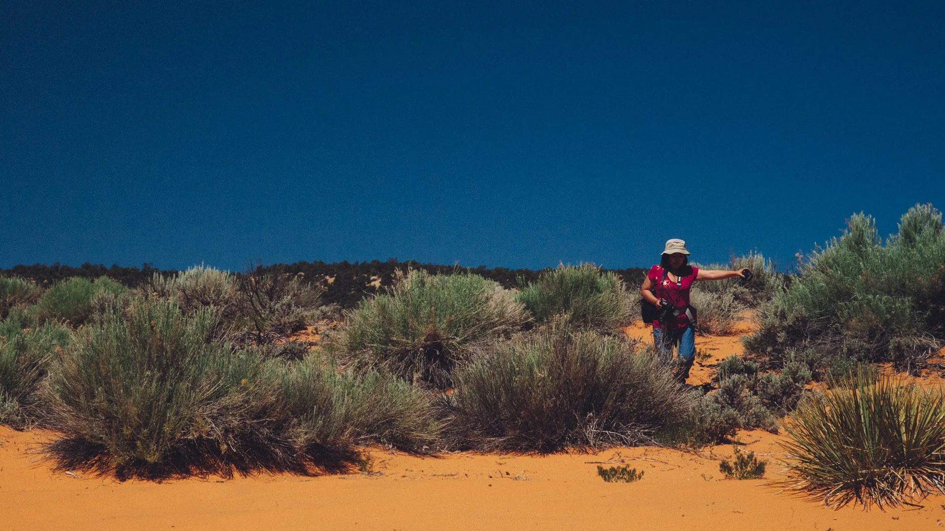 A figure in a red shirt among the sagebrush on the dunes