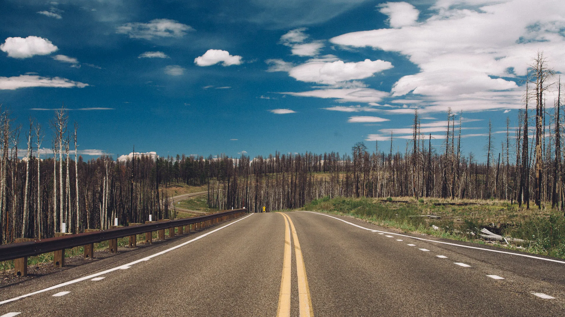 Hwy 89A running through a burnt forest under a blue sky