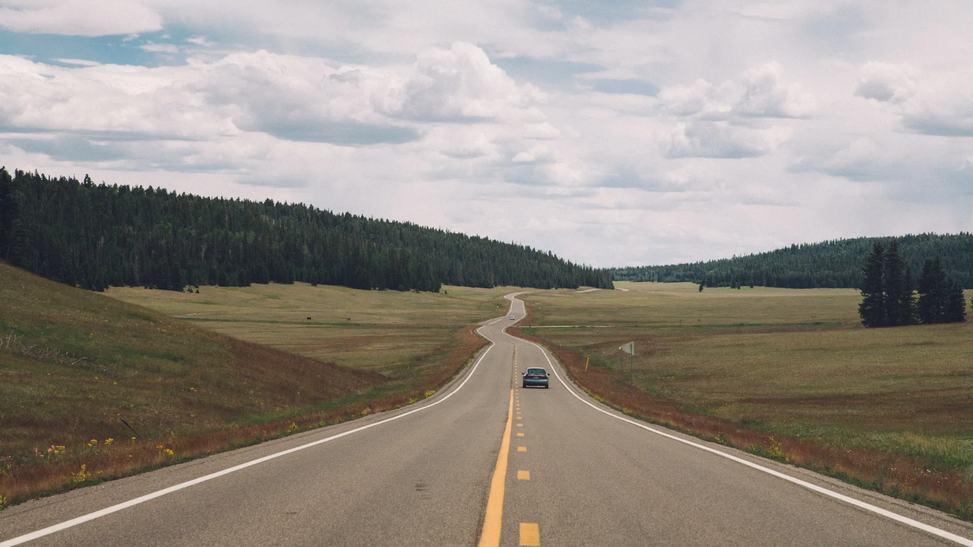 The road winding through the meadows toward the North Rim