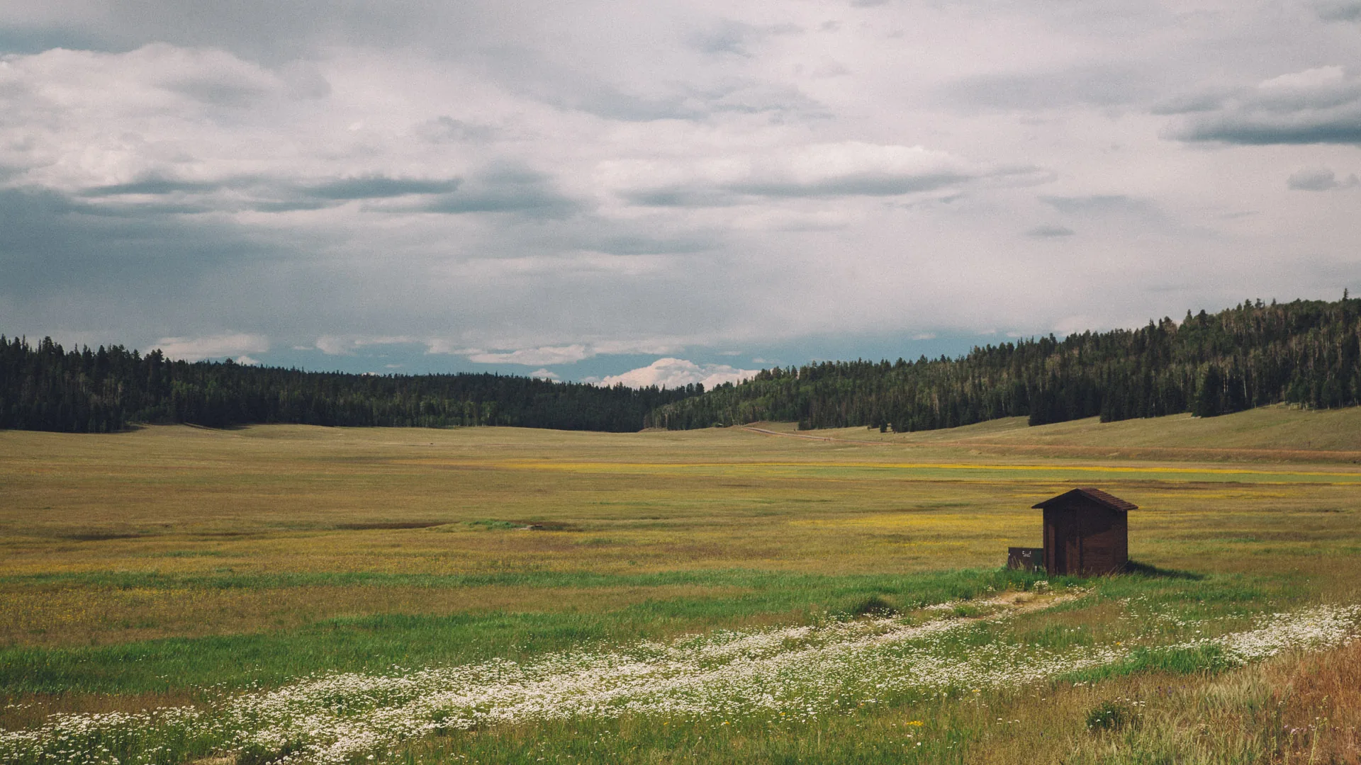 A small cabin in a wide meadow under an overcast sky