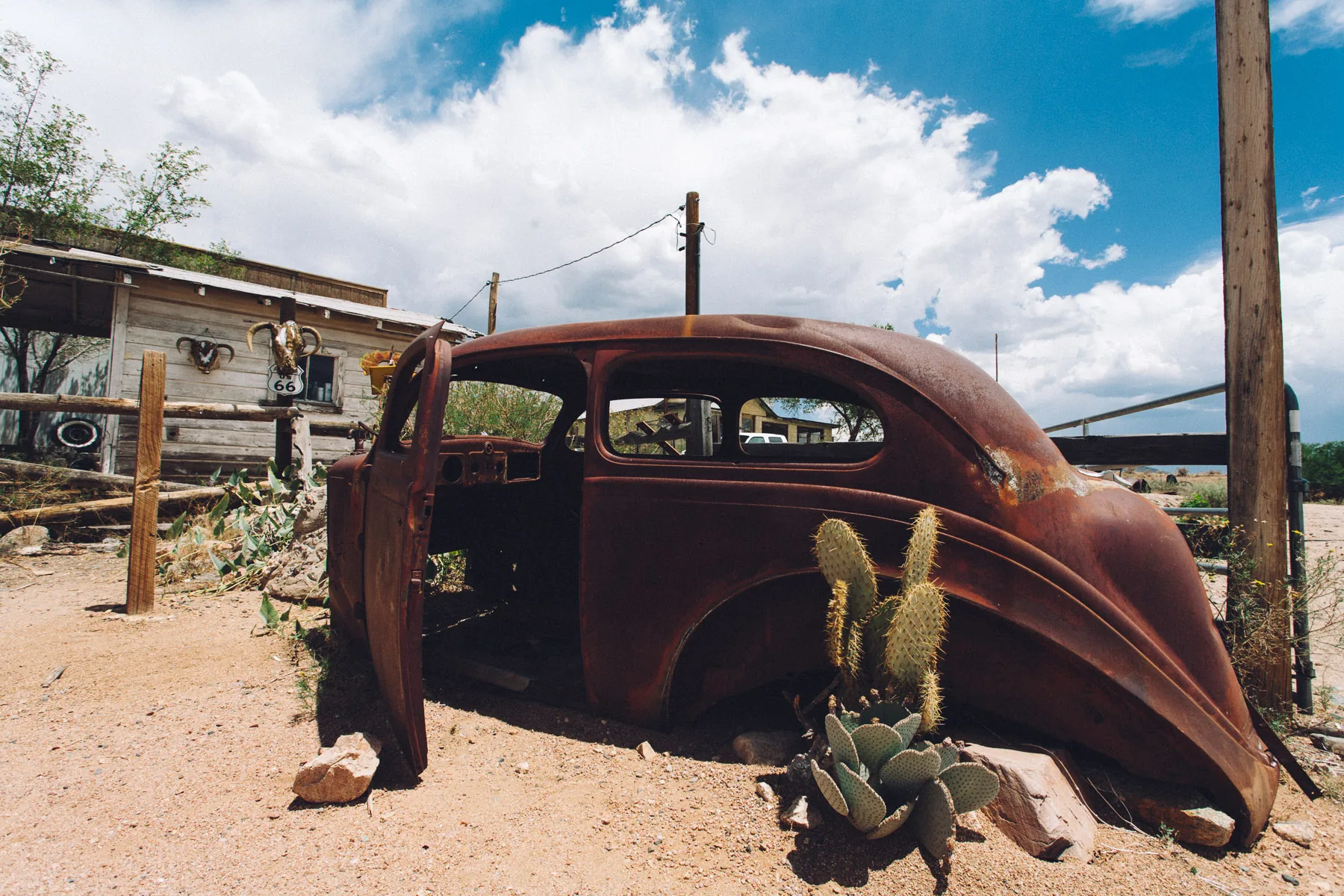 A rusted car body with a prickly pear cactus