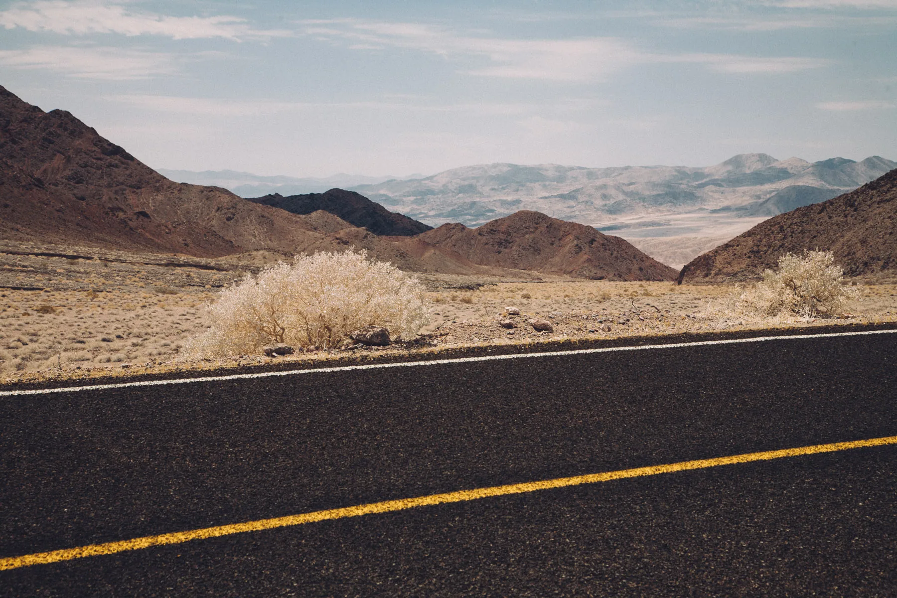 Hot asphalt and a dry bush with the valley beyond