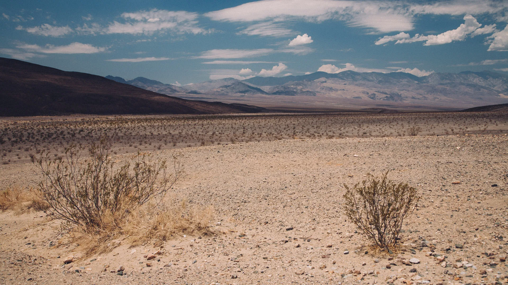 Scattered bushes on a gravel plain below distant mountains