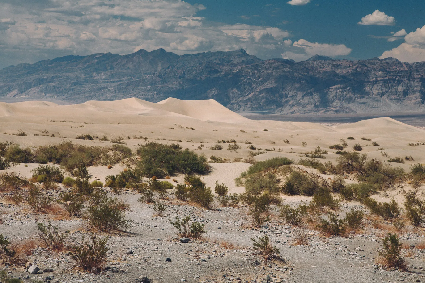The Mesquite Flat Sand Dunes below the mountains