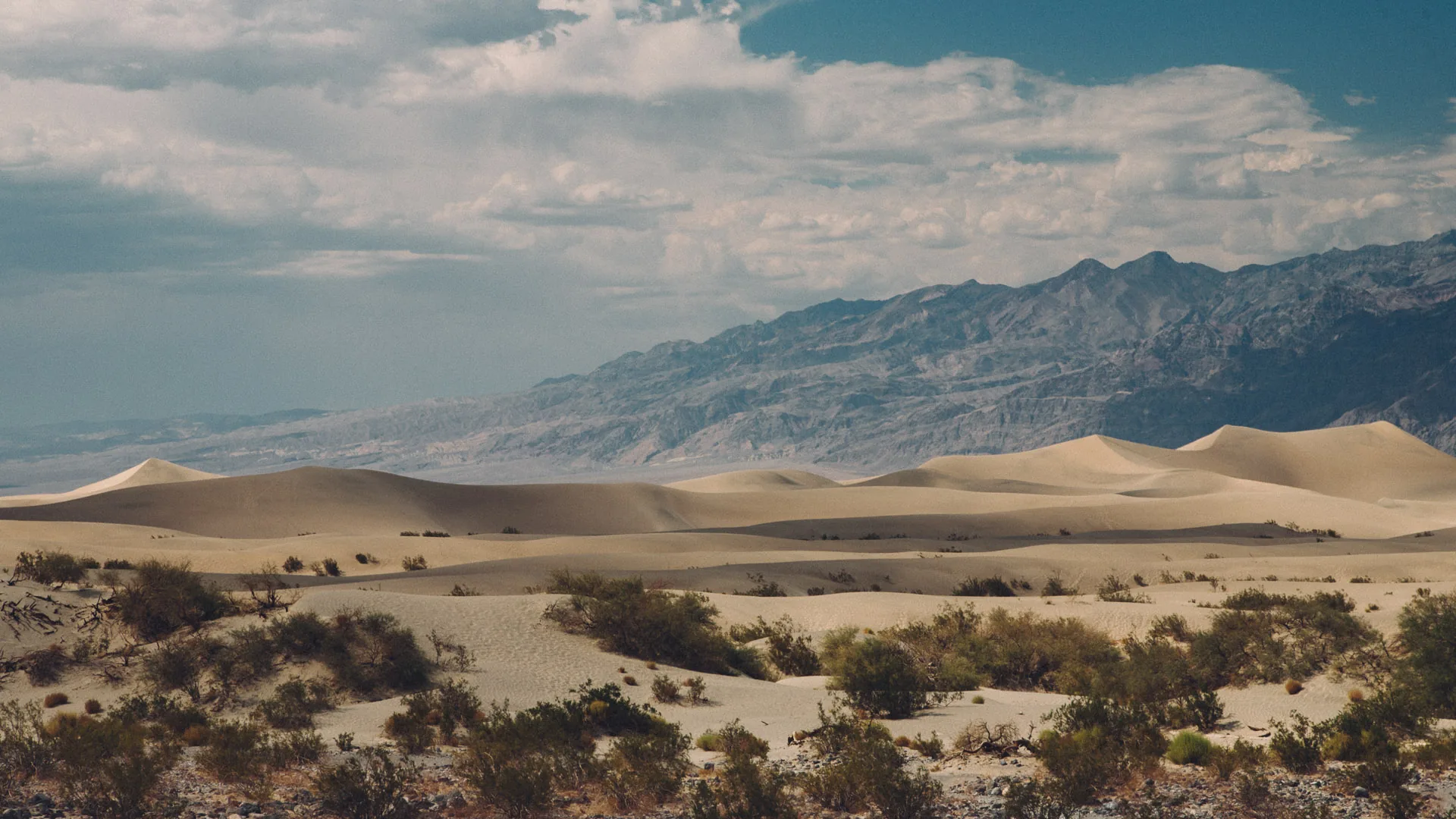 The dunes stretching toward the hazy mountains