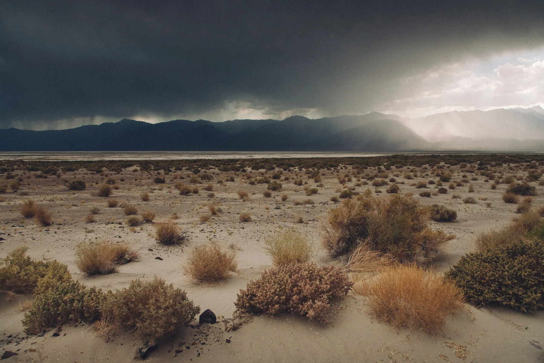 Storm clouds over the Sierra and the desert scrub
