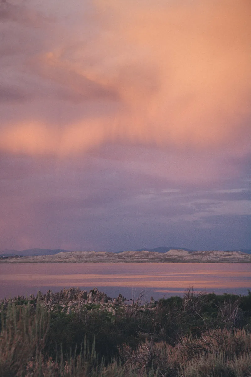 Pink sunset light over the lake and the brush