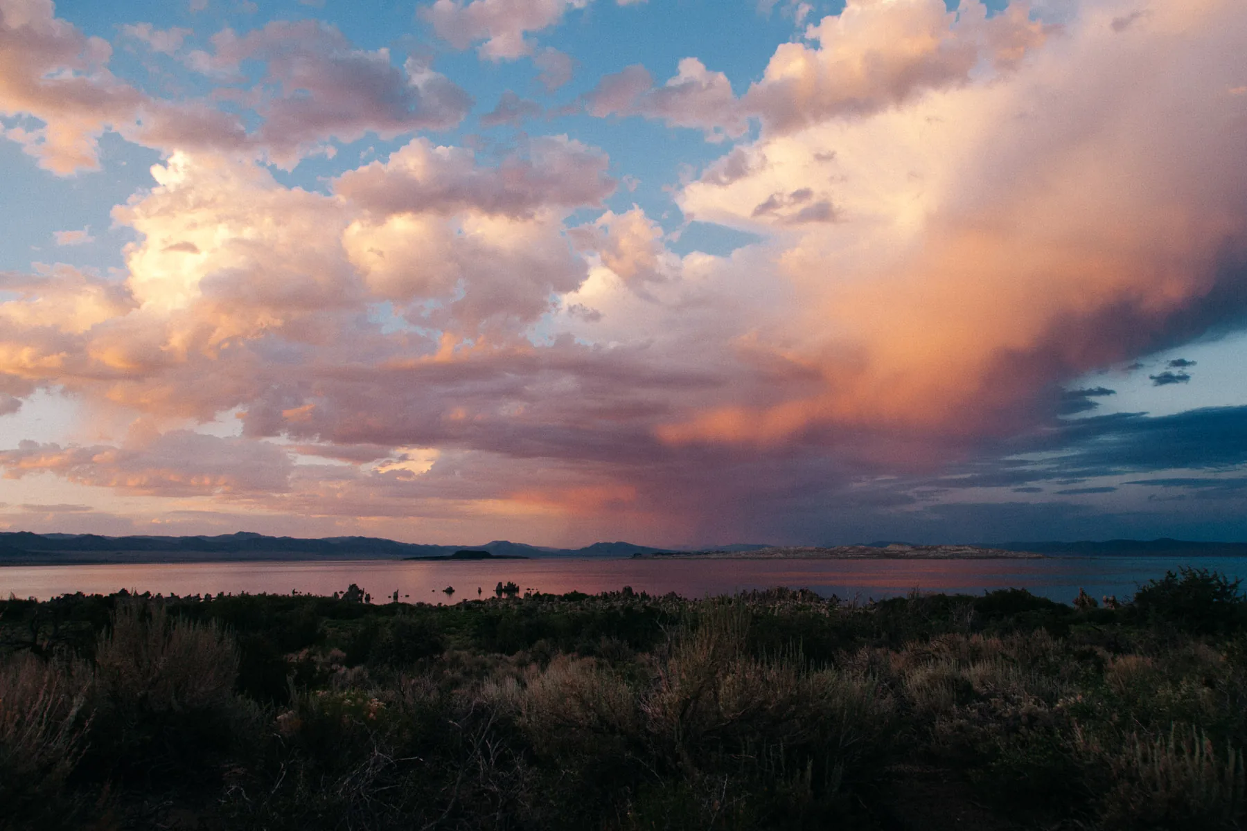The sunset sky over Mono Lake and the shoreline brush