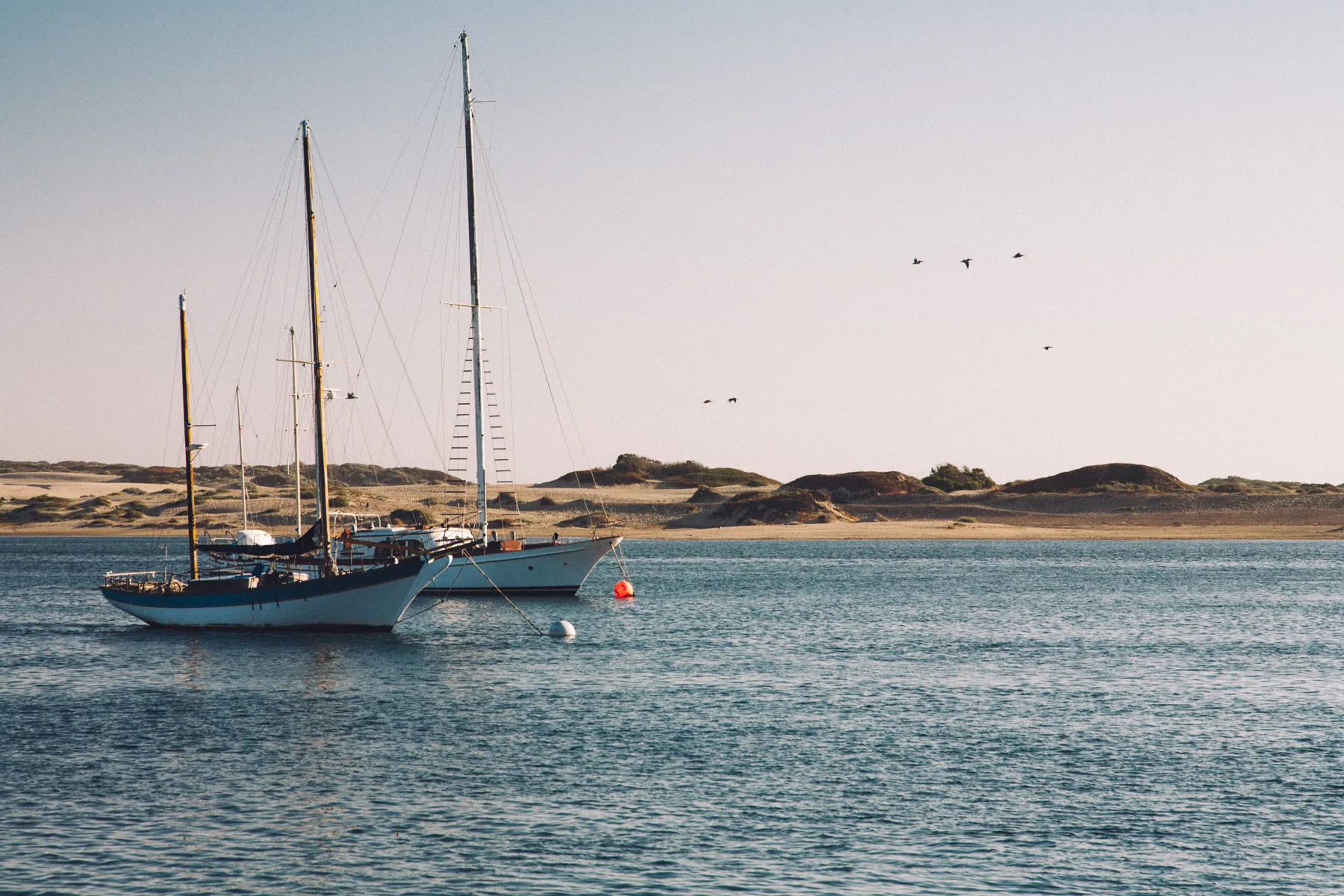 Sailboats moored in Morro Bay