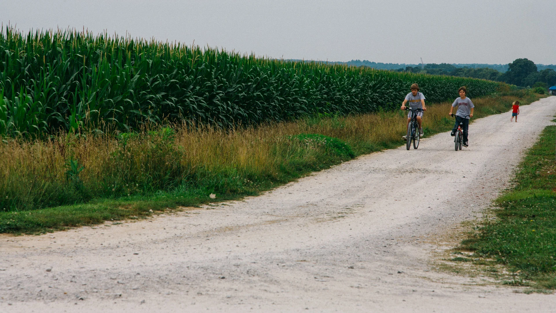 Two cyclists on a gravel road between cornfields