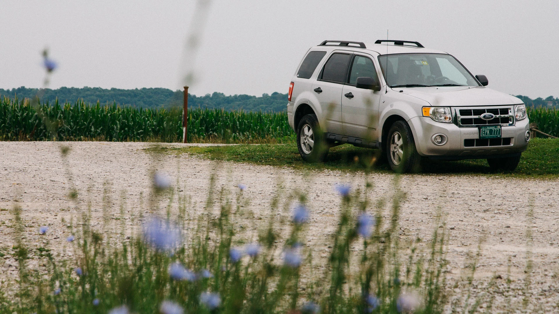 A silver SUV parked by a field of wildflowers
