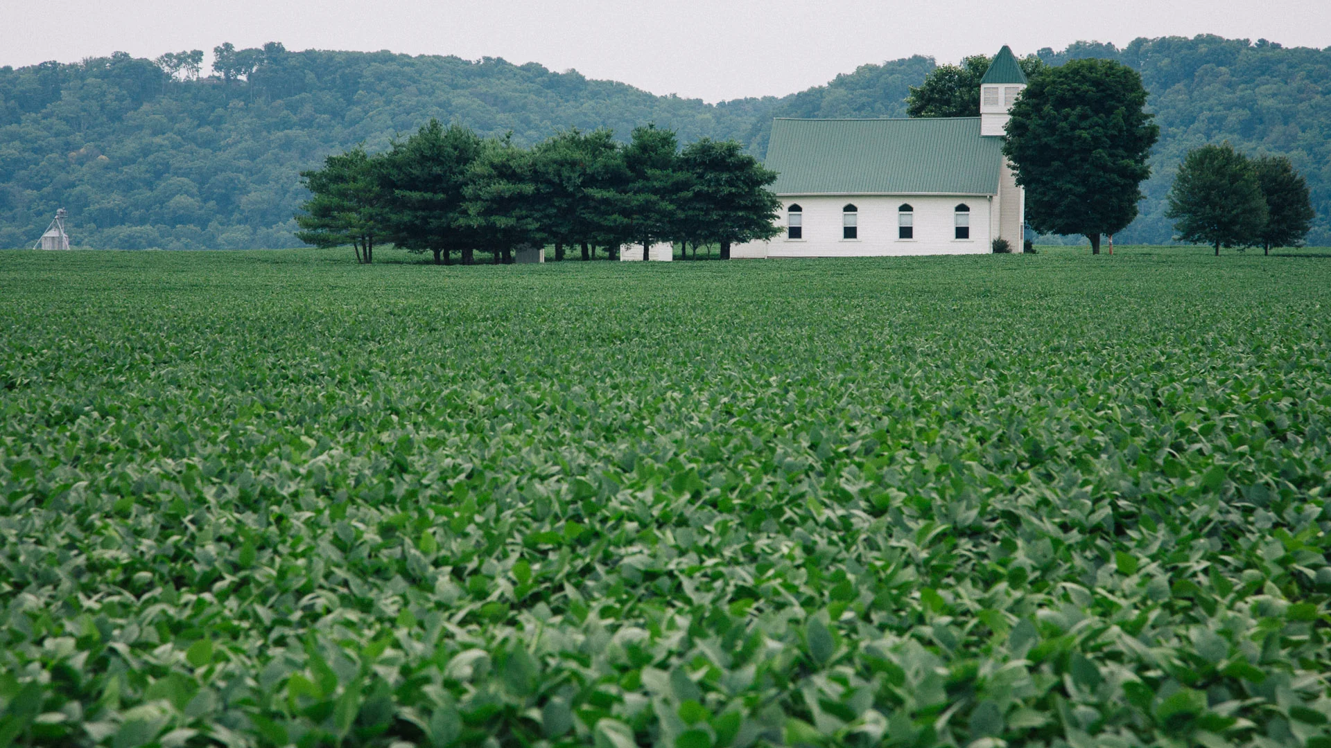 A green field stretching to a white farmhouse and barn