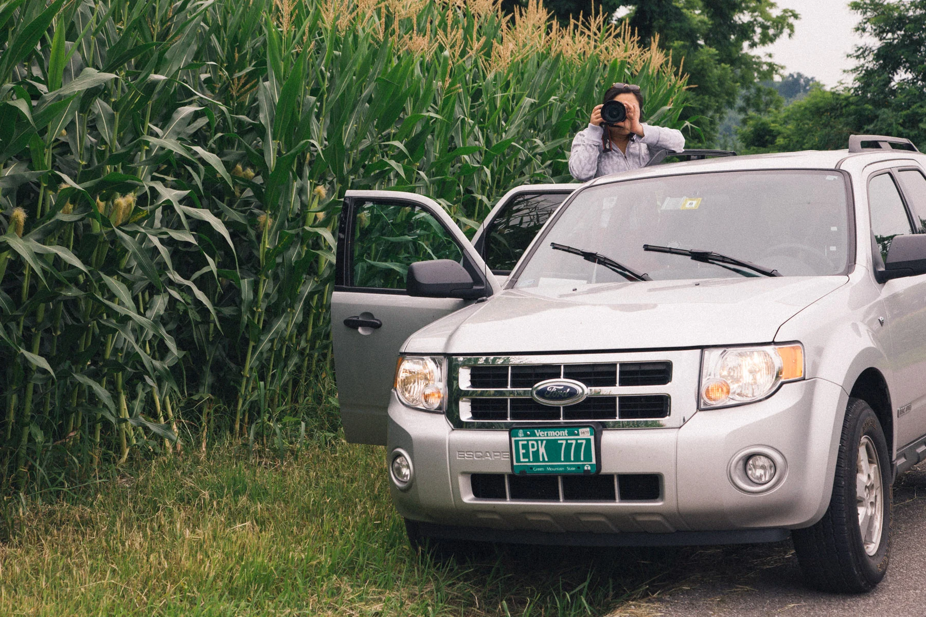 Francesco photographing from beside the car at the edge of a cornfield