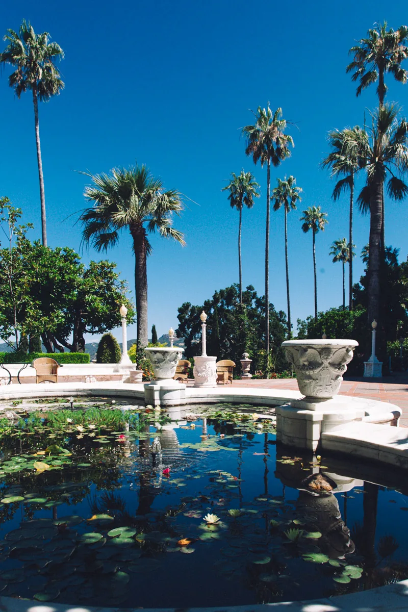 Palms above a lily pond in the gardens
