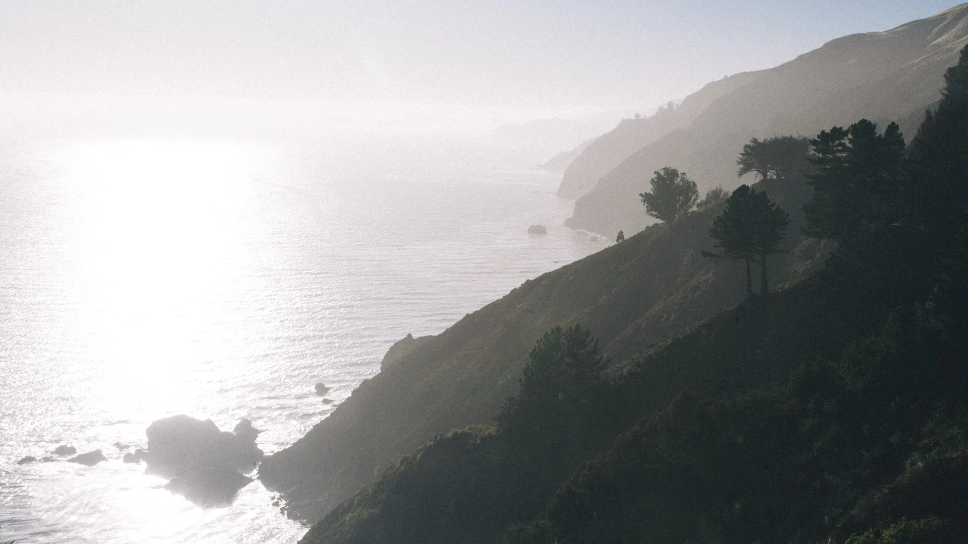 Sunlight on the sea behind a wooded ridge