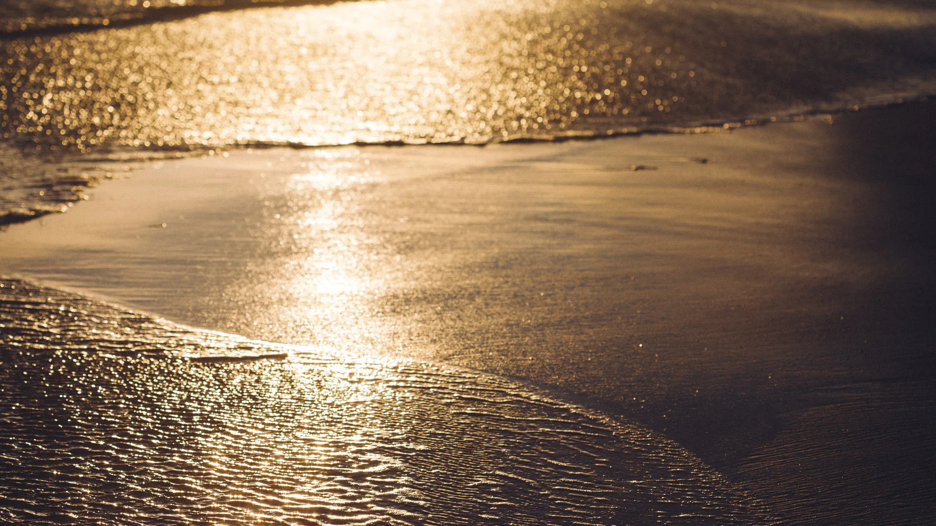 Golden light on the wet sand at the water's edge