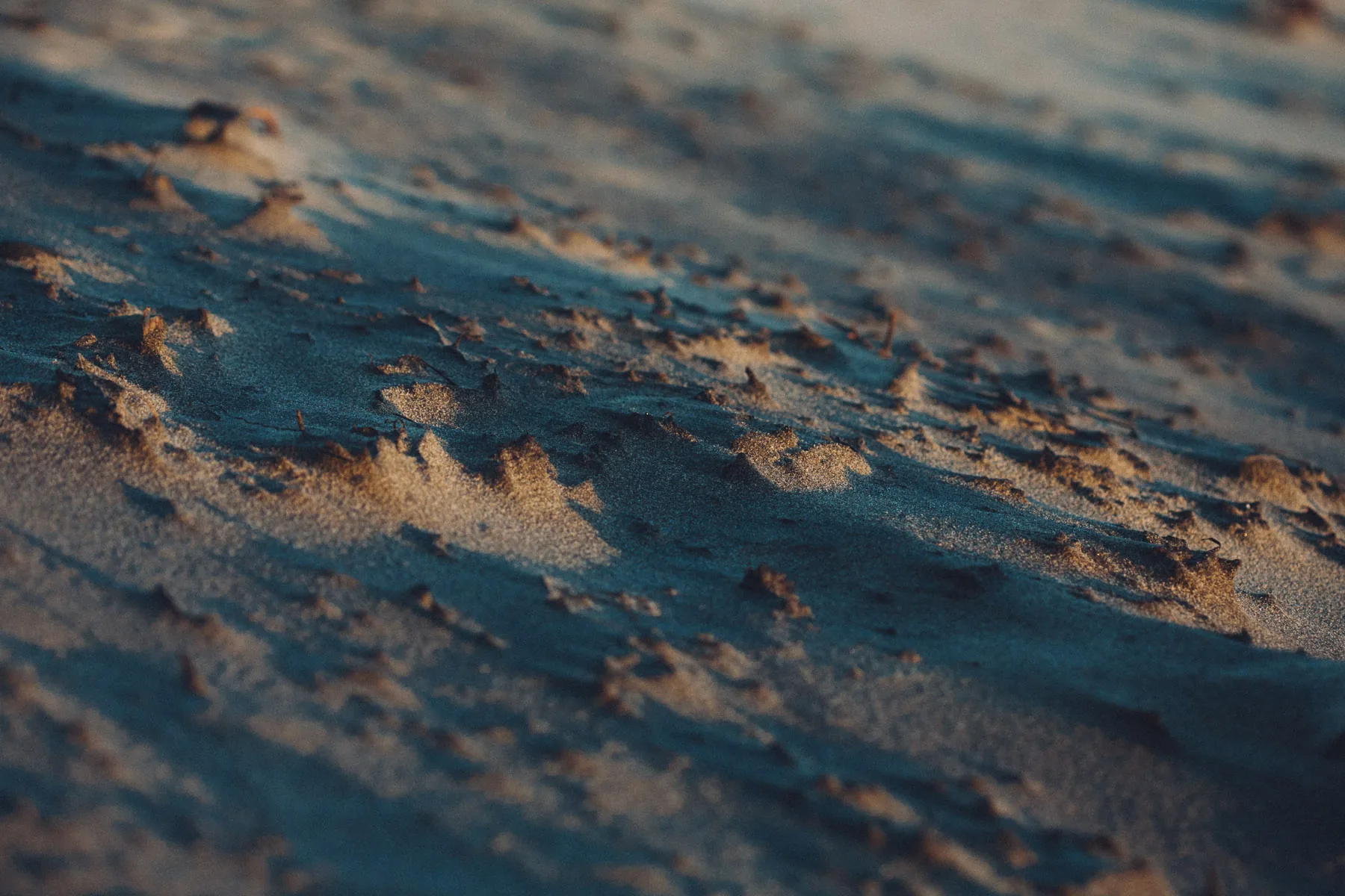 Ripples of sand in the evening light