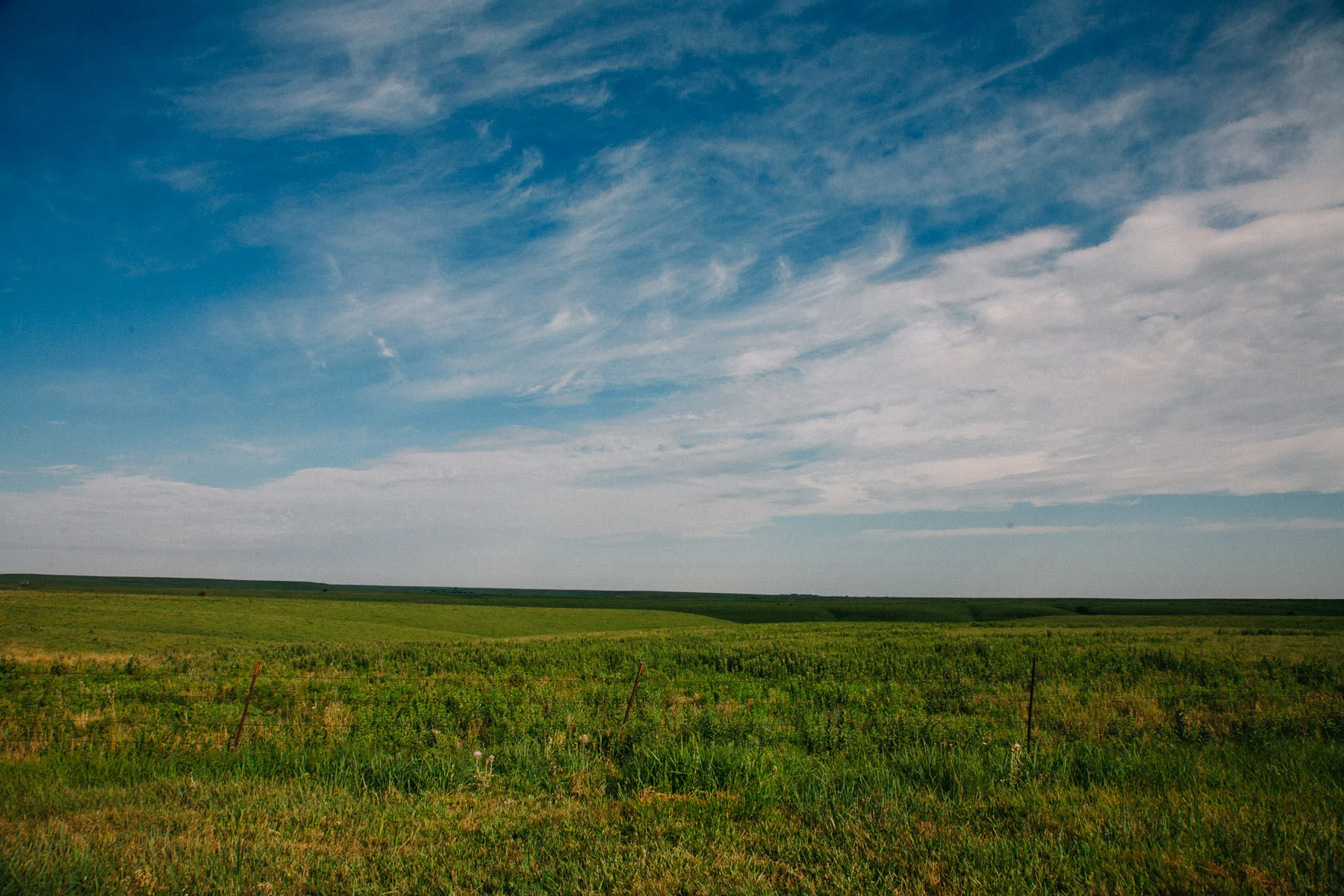 The tallgrass prairie stretching to the horizon under streaked clouds