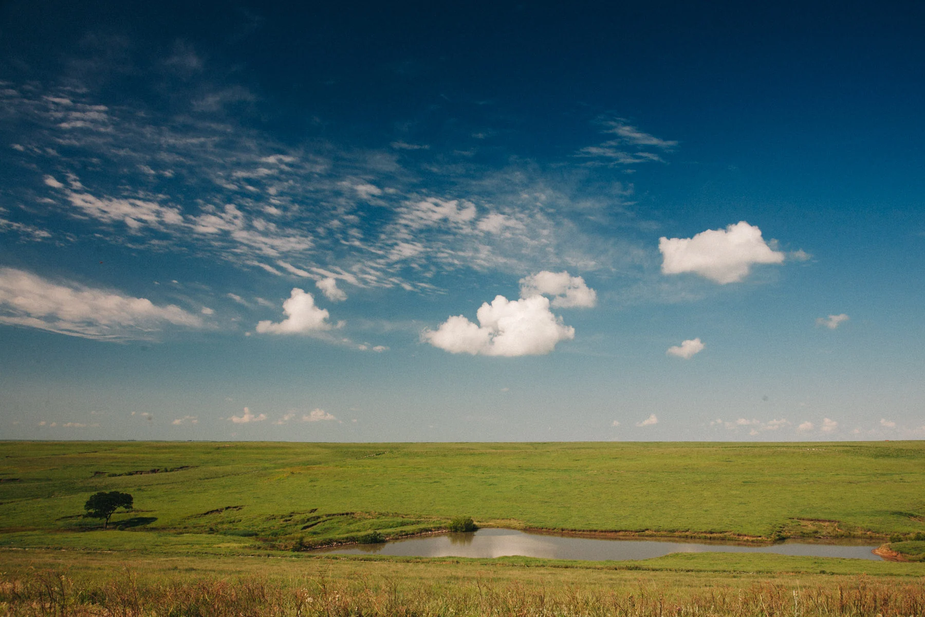 A small pond in the open prairie beneath puffy clouds