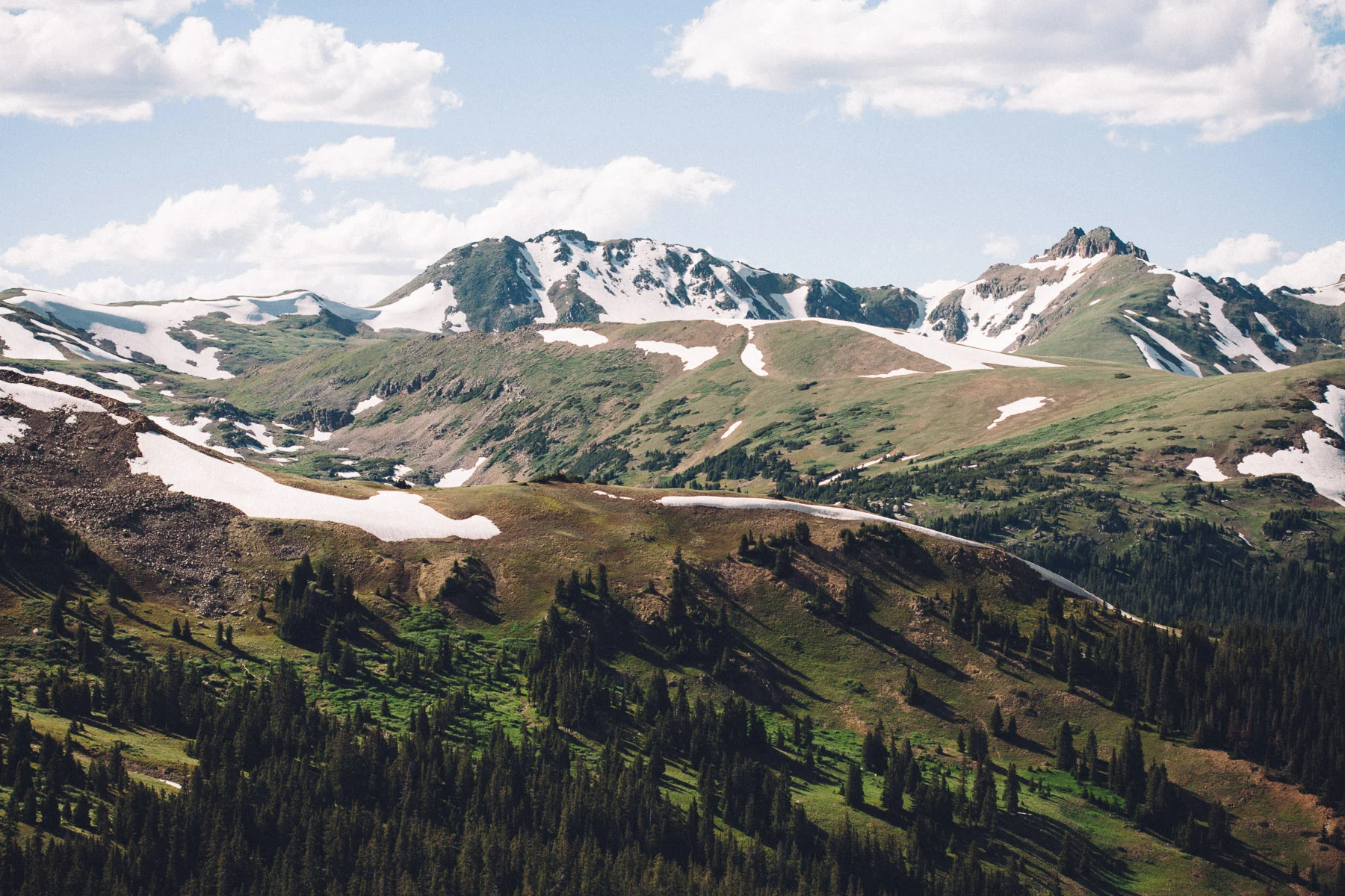 Snow-patched peaks above green slopes and pine forest