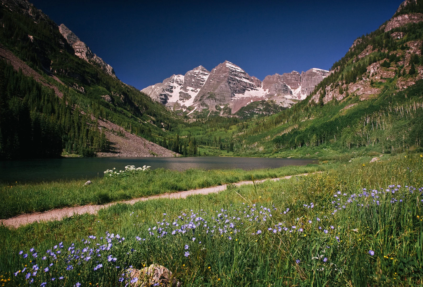 The Maroon Bells above a meadow of blue wildflowers
