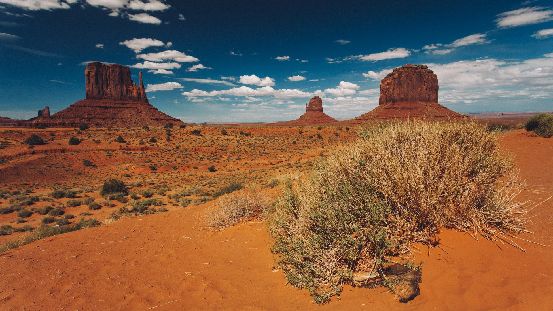 The East and West Mittens above sagebrush