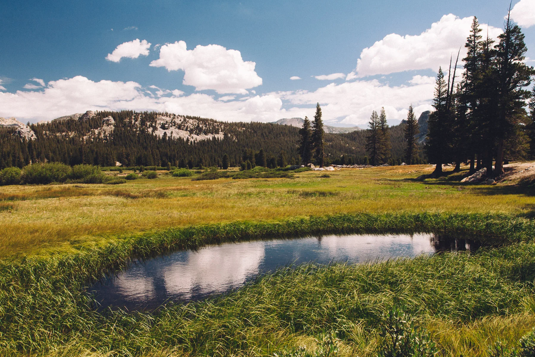 A pond reflecting the clouds in Tuolumne Meadows