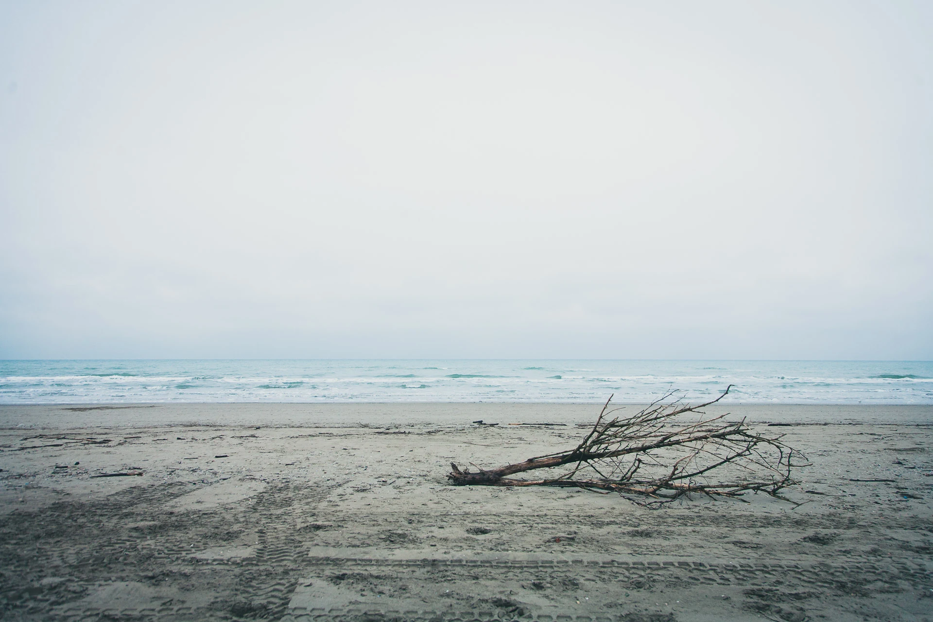 Driftwood on the quiet beach beneath a grey sky