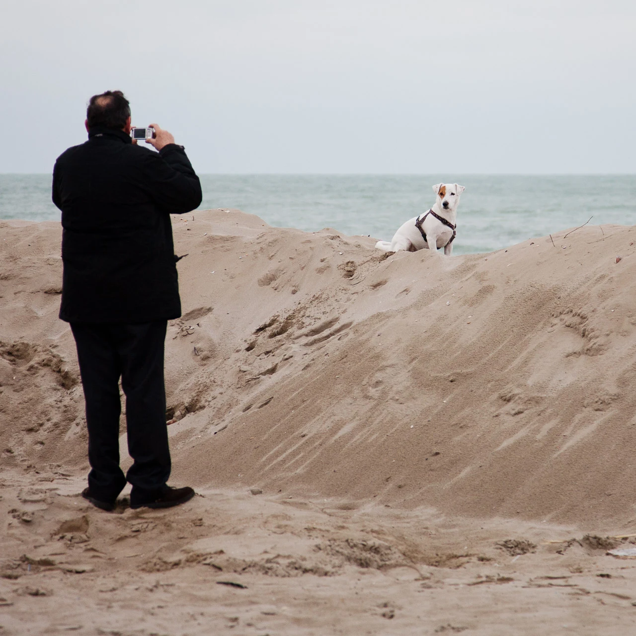 A photographer and dog on the winter beach