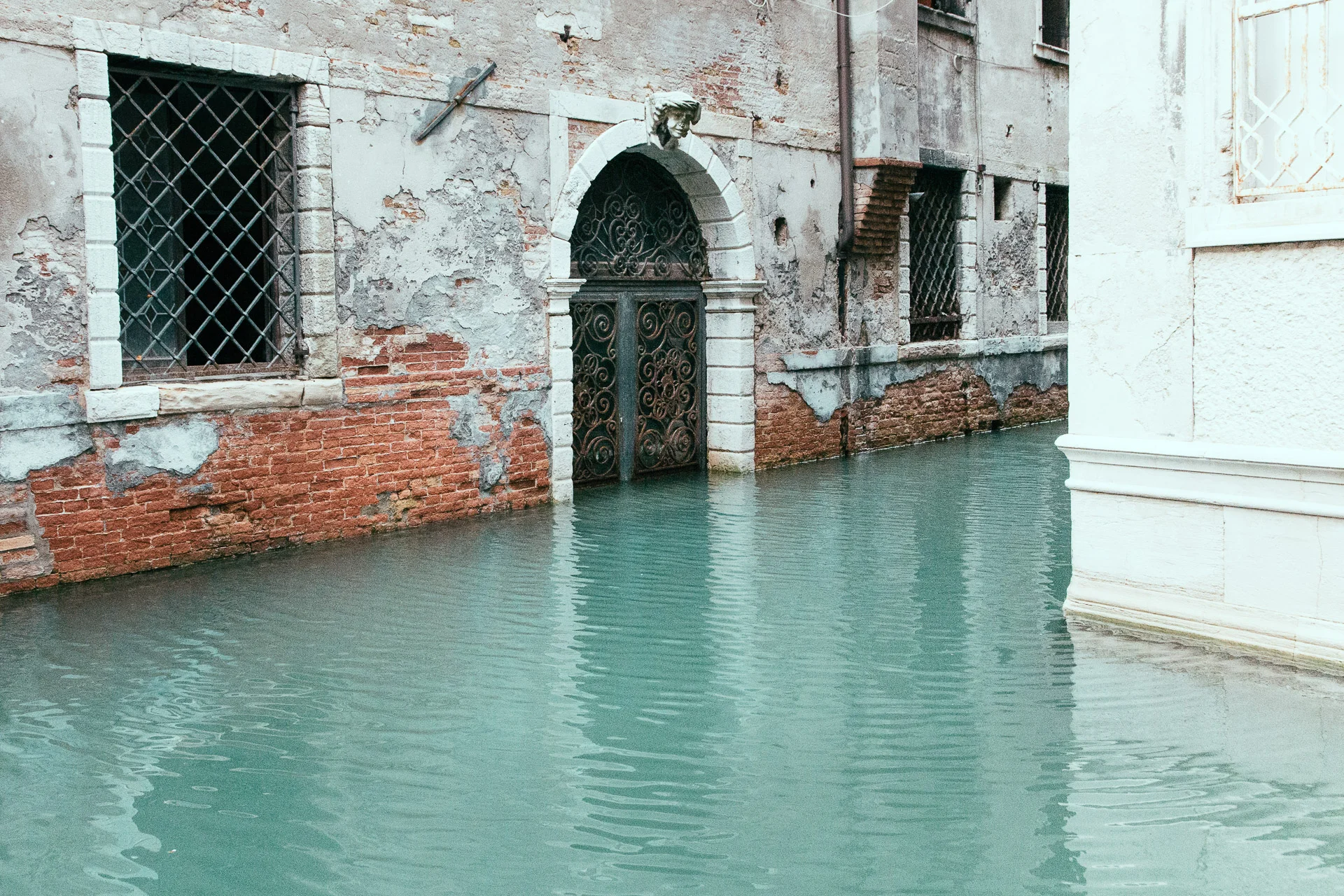 Photograph from Colors of Venice