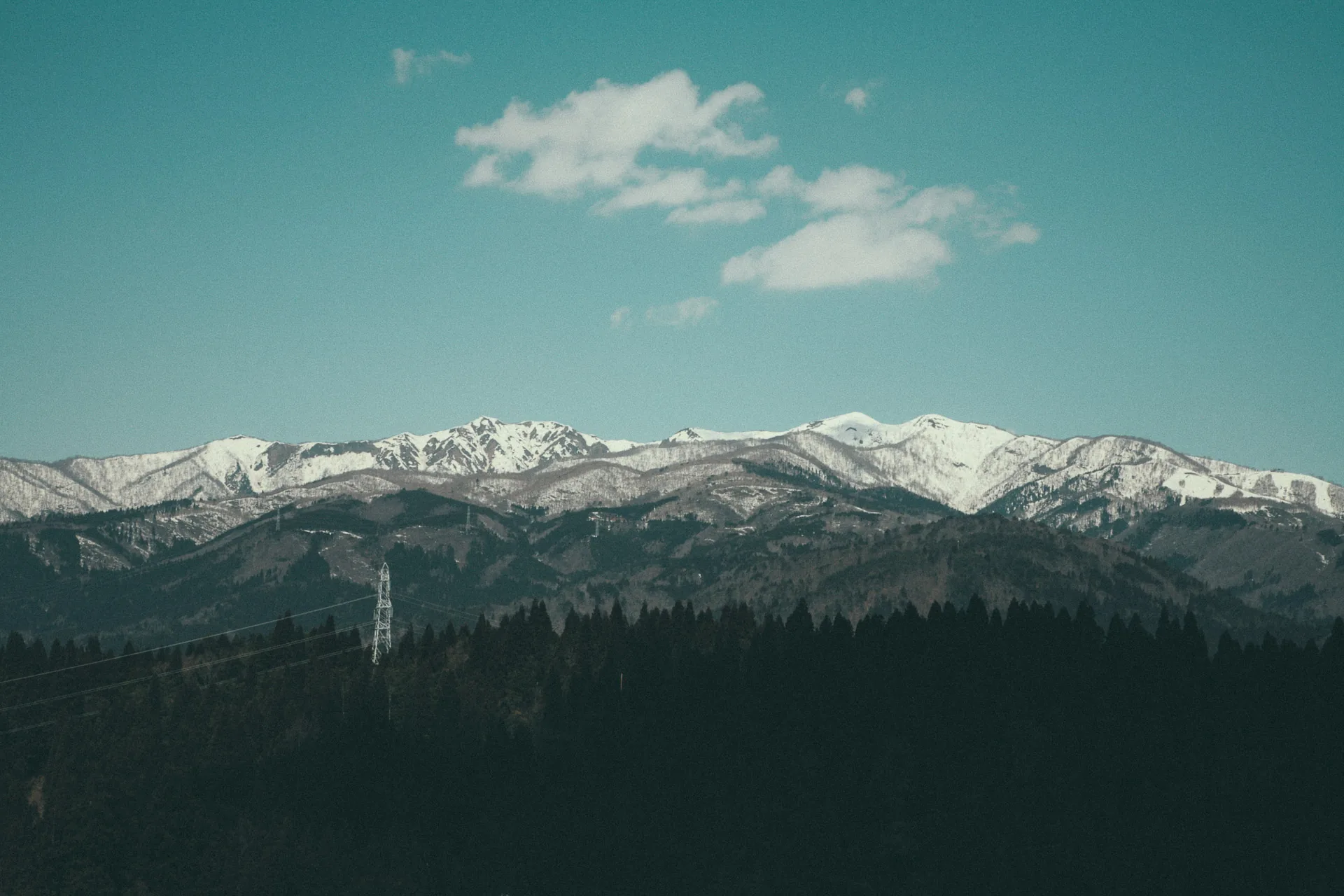 Snow-capped mountains above dark forests