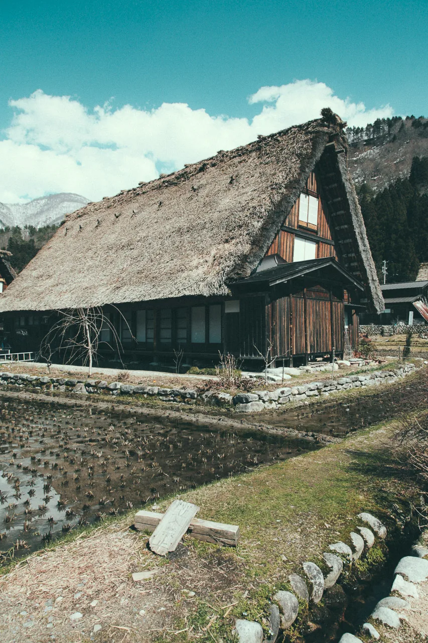 A gassho-zukuri house beside the paddies