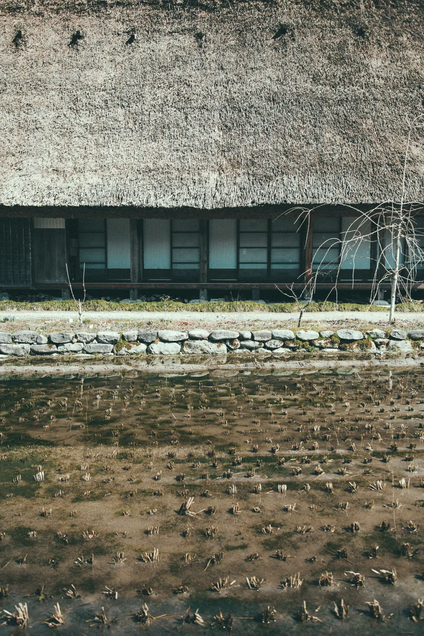 A thatched roof above a farmhouse veranda
