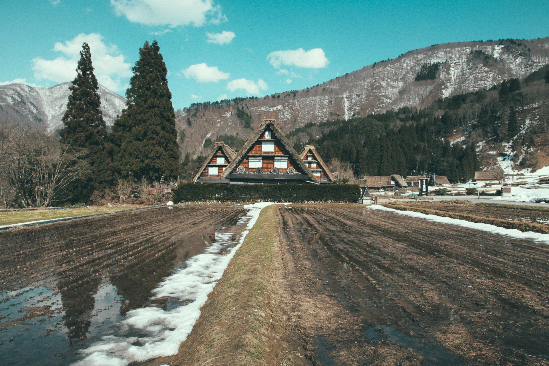 A gassho-zukuri farmhouse beyond the rice fields of Shirakawa-go
