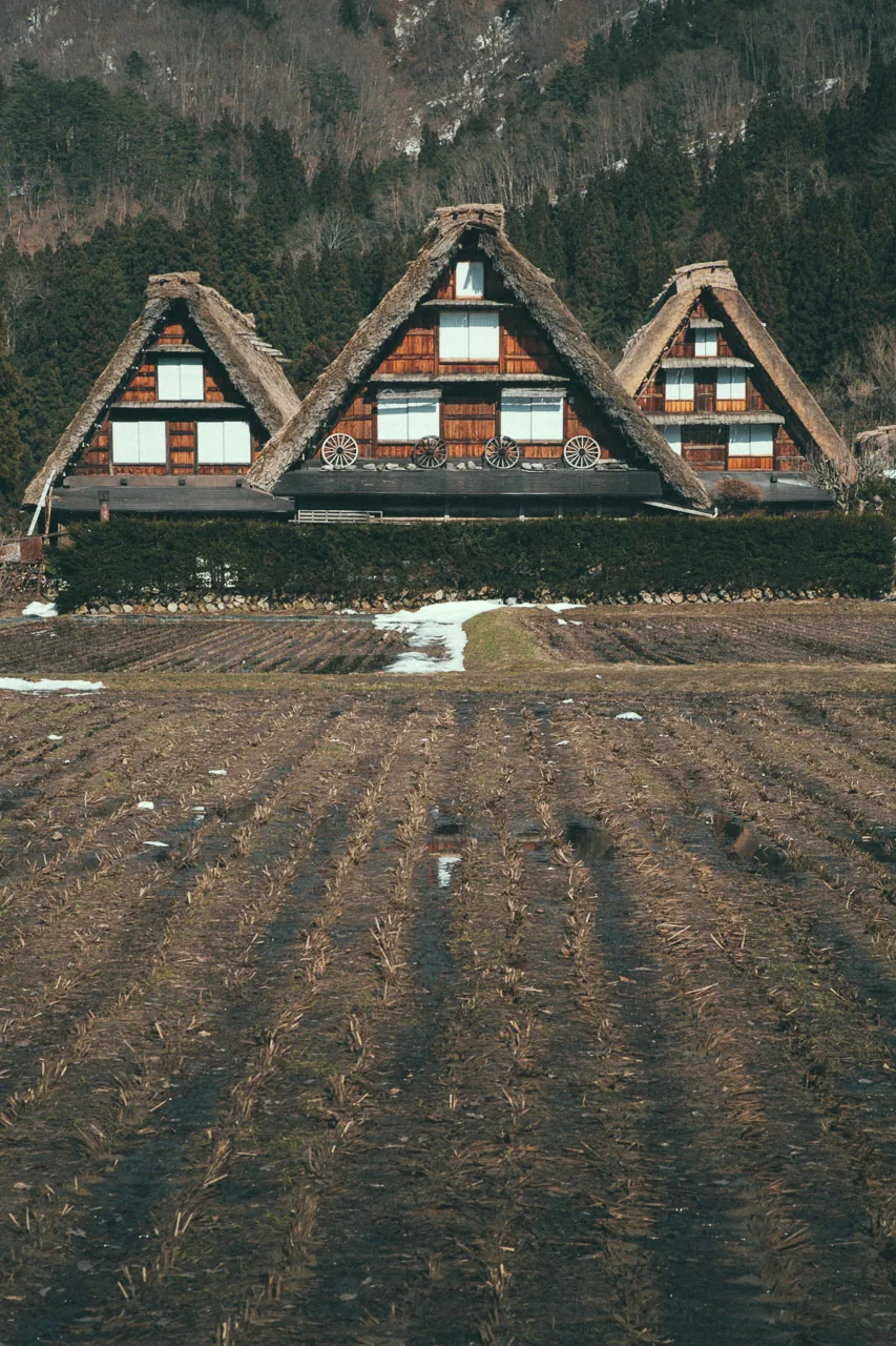 Three farmhouses beyond a plowed field