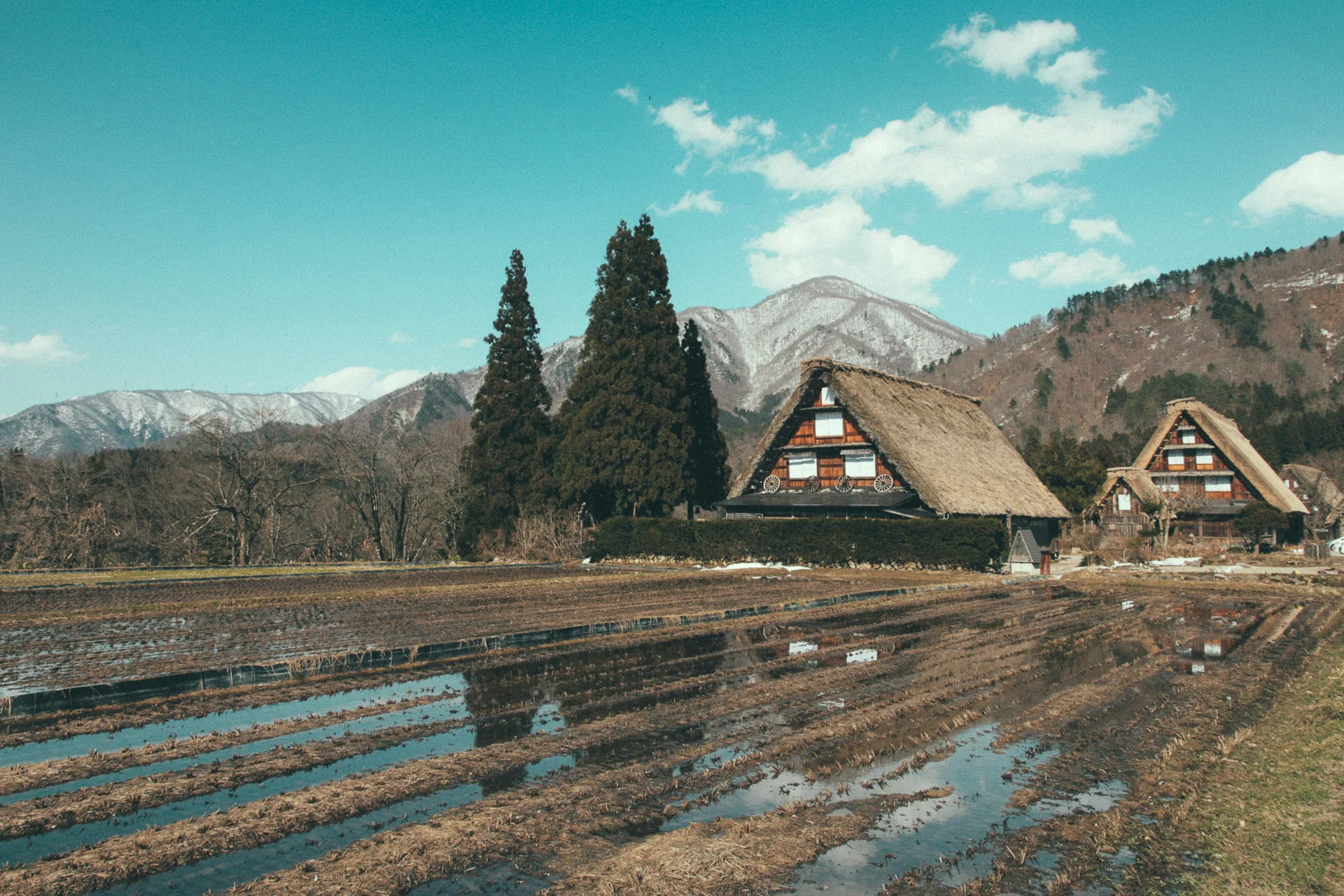 Thatched farmhouses and reflections in the paddies