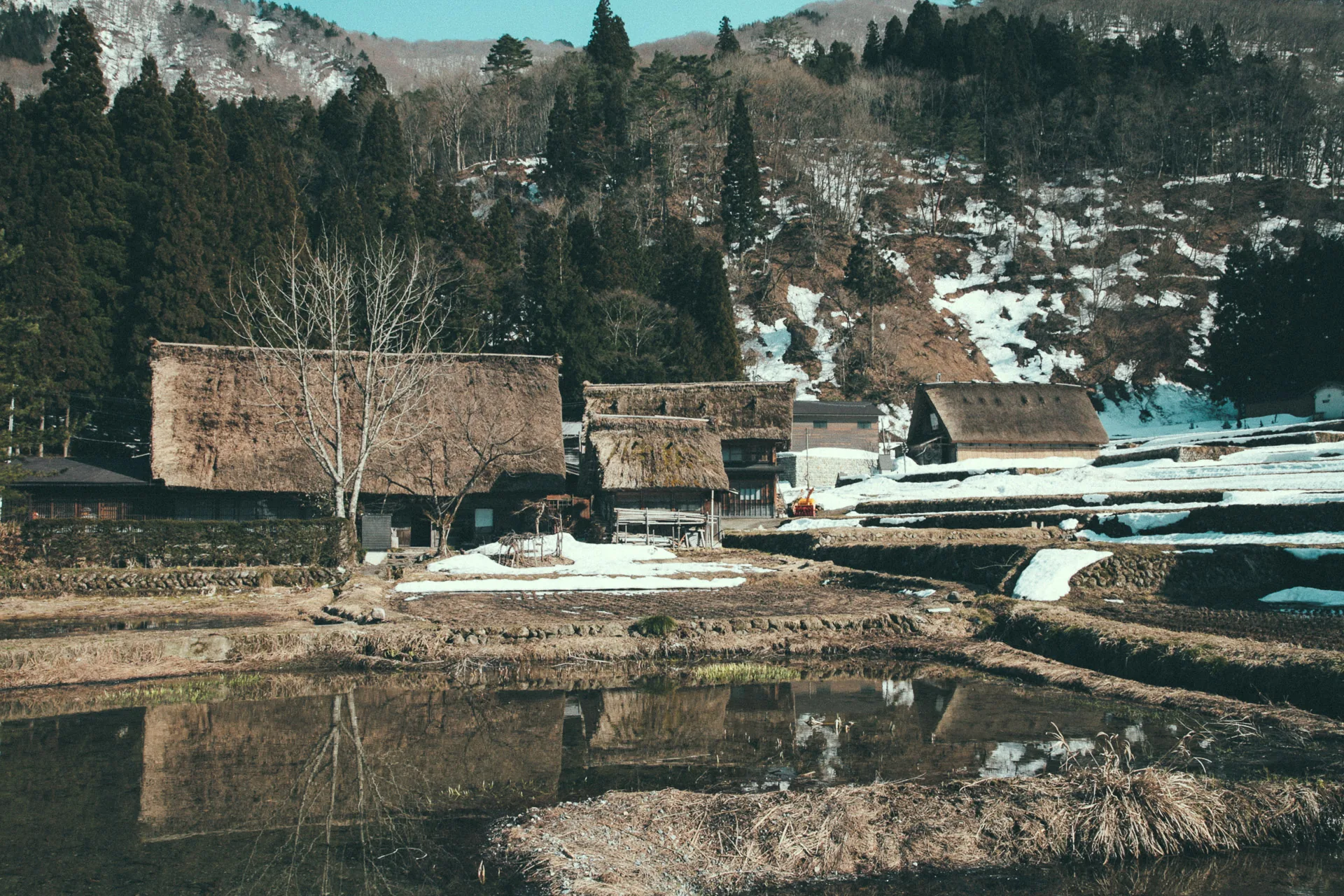 Farmhouses above a reflecting pond