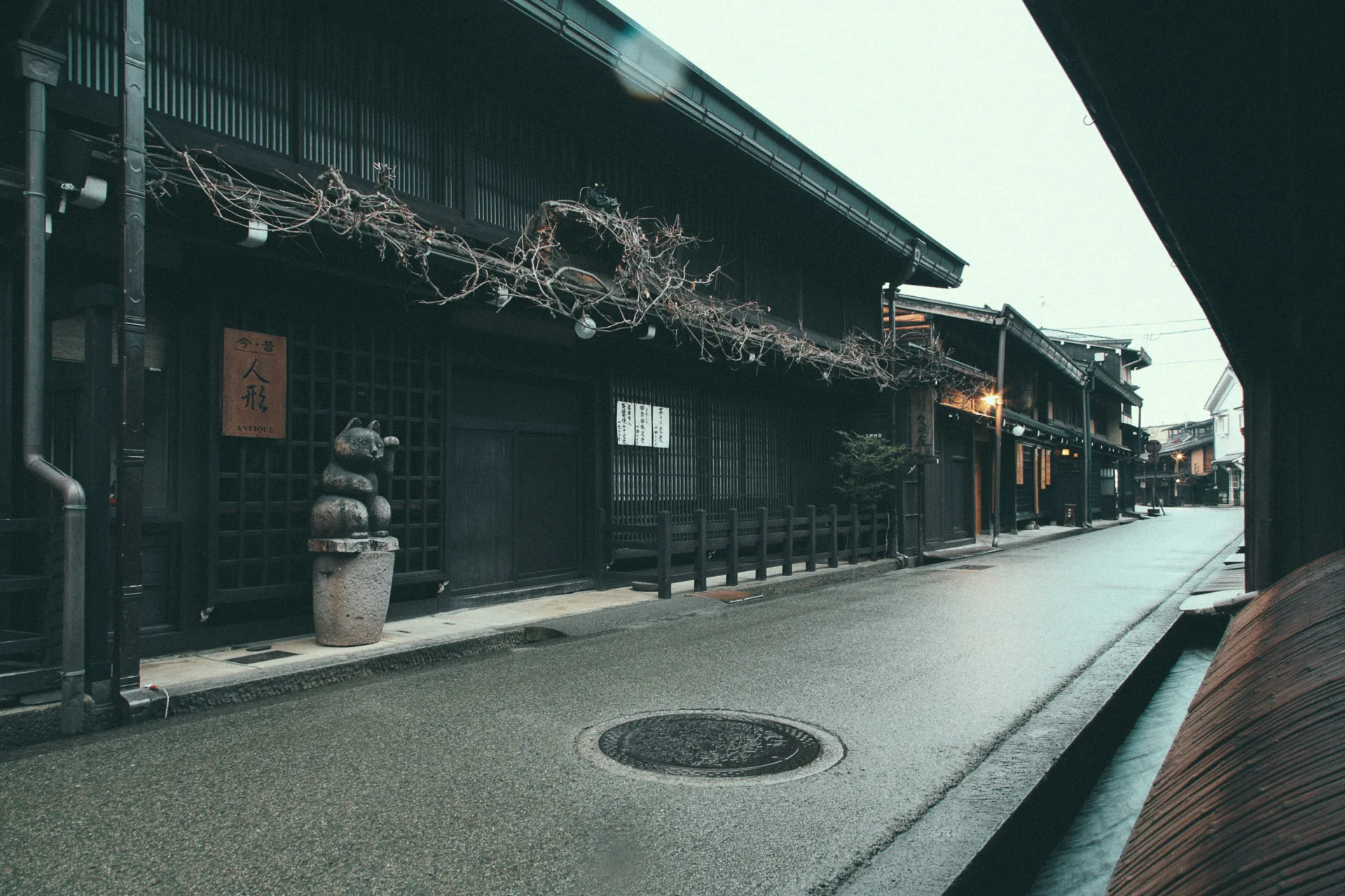 A stone cat statue beneath dry wisteria vines on an empty street