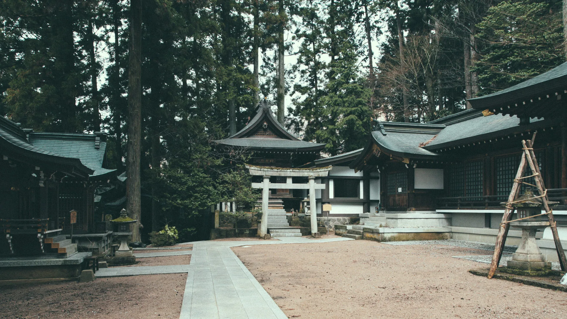 A shrine in the forest beyond a stone path