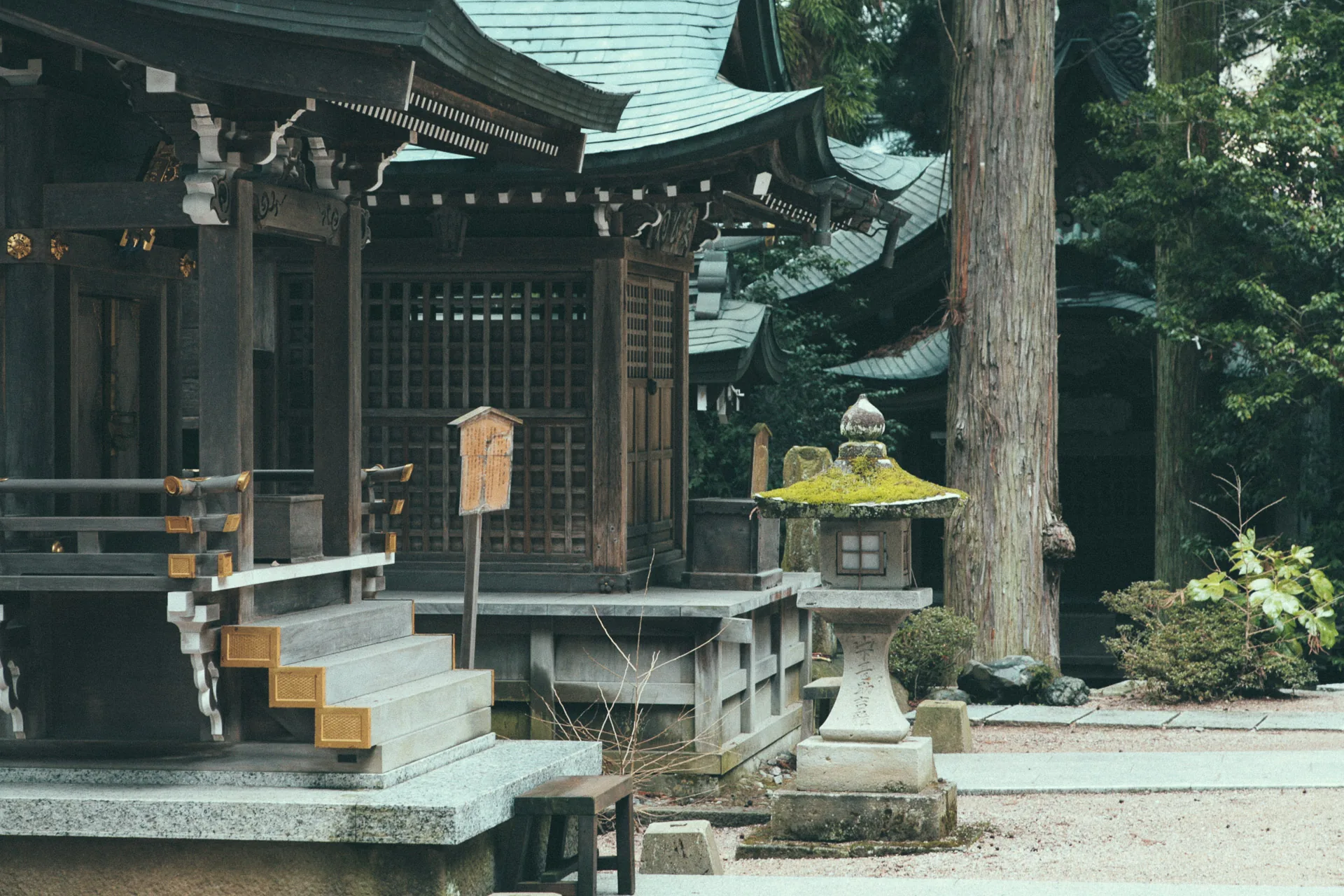 A small shrine hall with a mossy stone lantern
