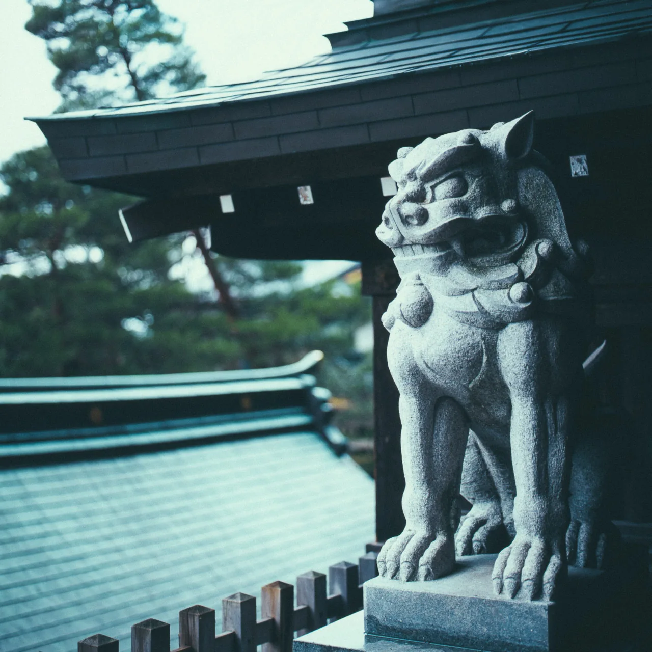 A stone guardian lion on a shrine roof