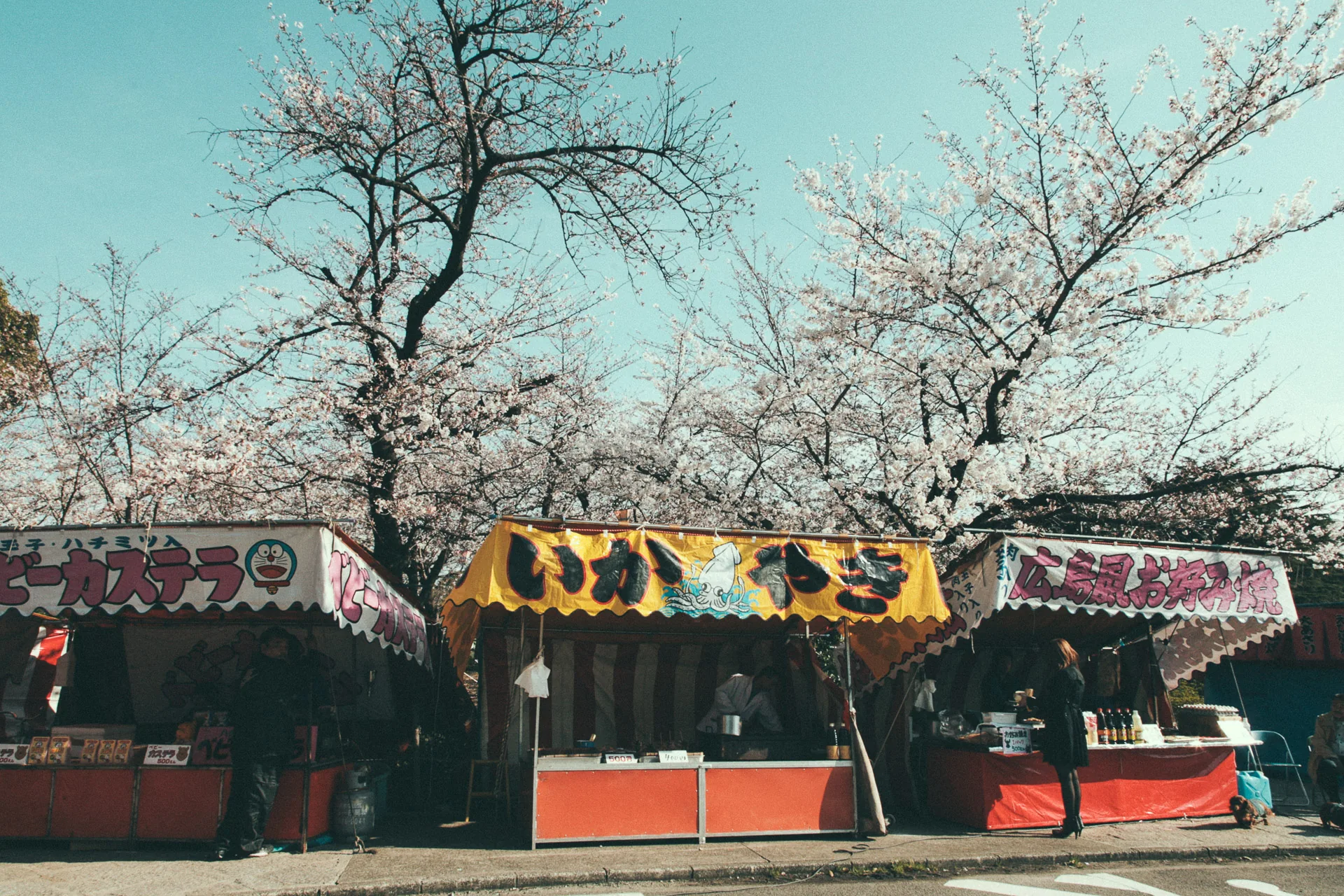 Food stalls under the cherry trees in Tsuruma Park