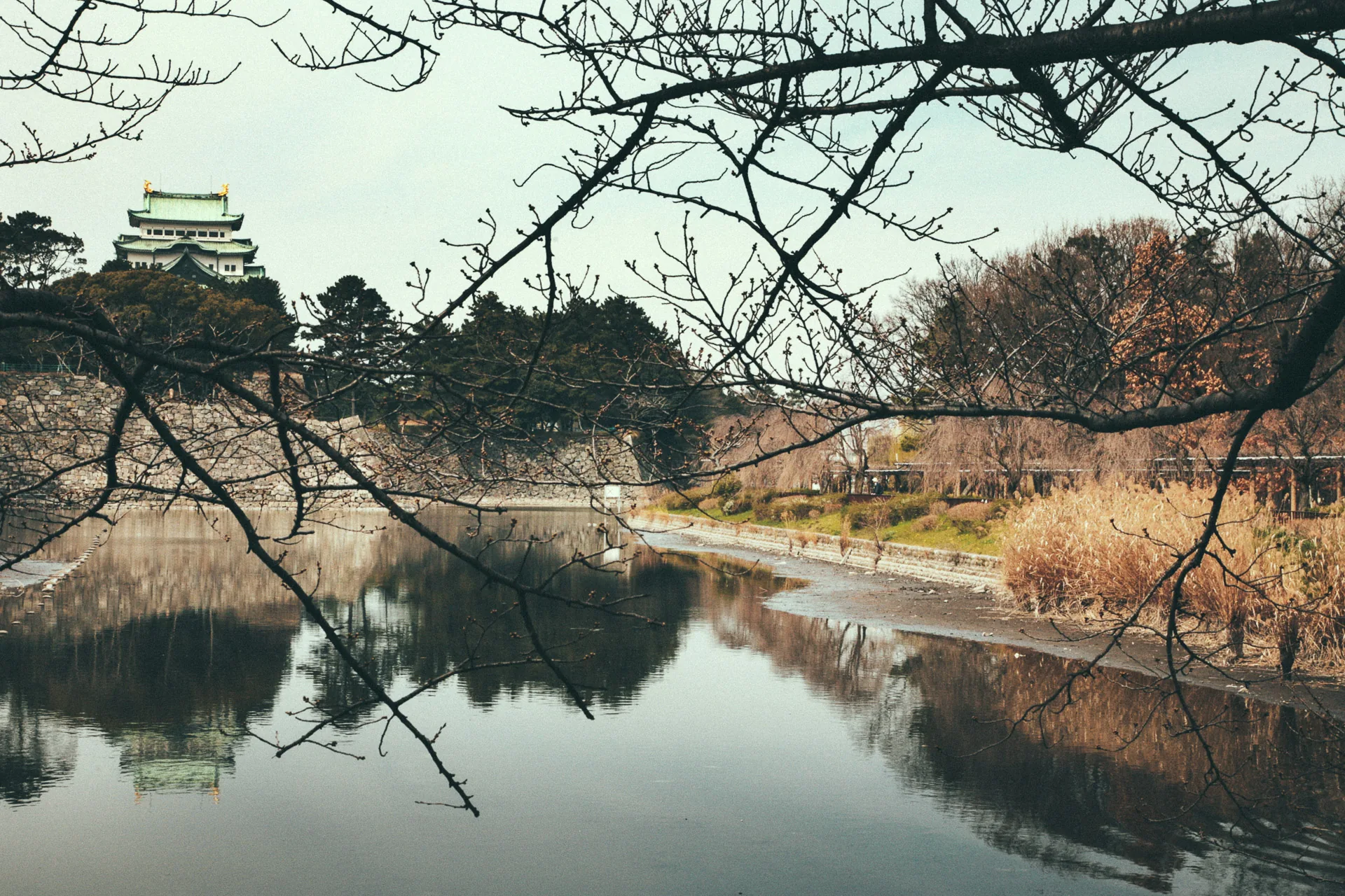 The castle reflected in the moat behind bare branches