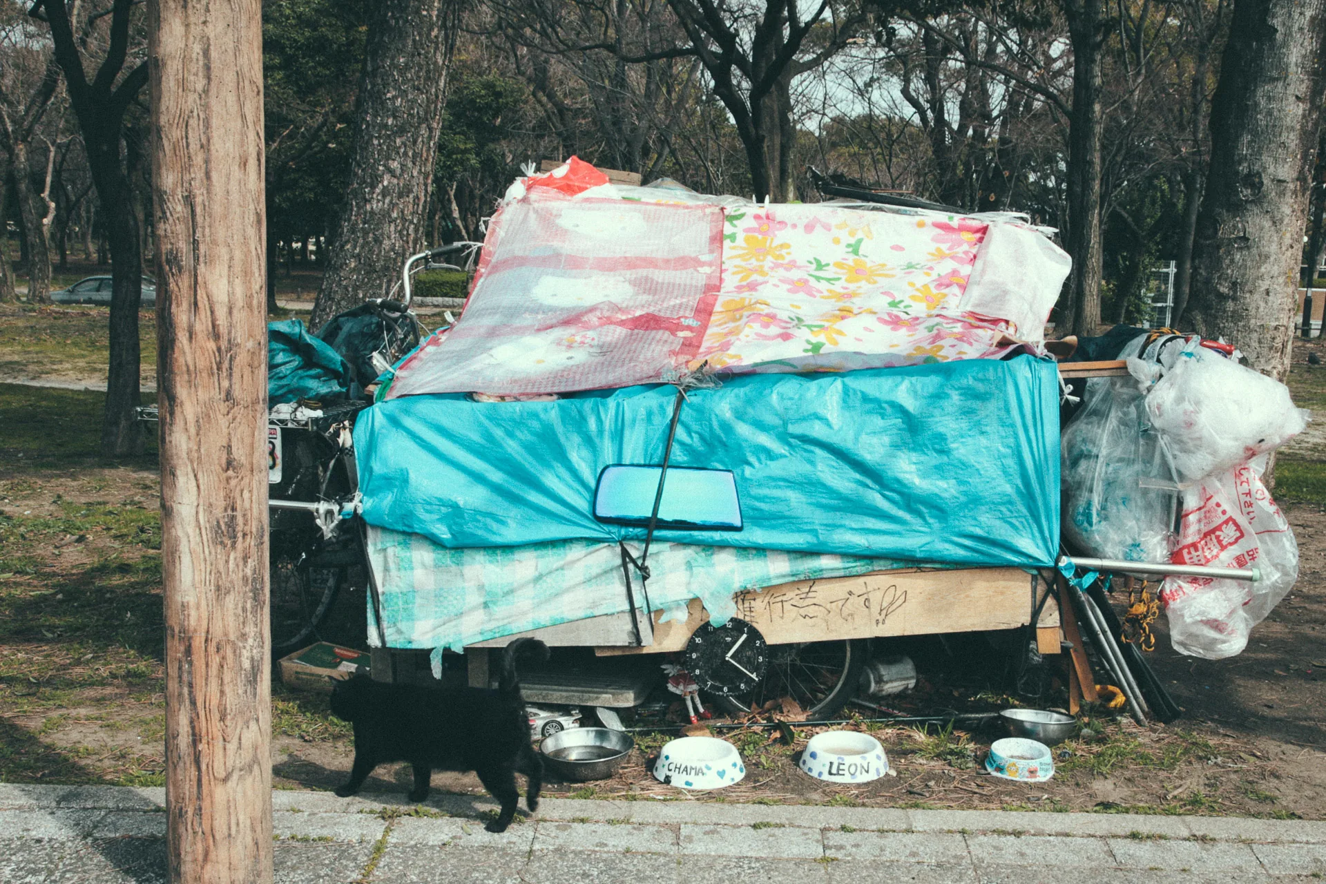 A homeless camp of carts and tarps in the park